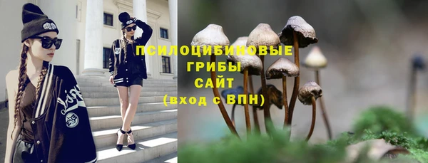 экстази Михайлов