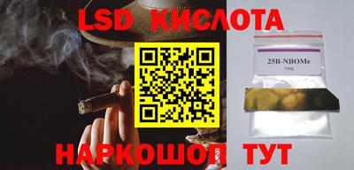 сатива Будённовск