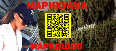сатива Будённовск