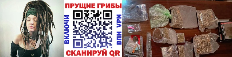 сколько стоит  Заволжье  Псилоцибиновые грибы GOLDEN TEACHER 