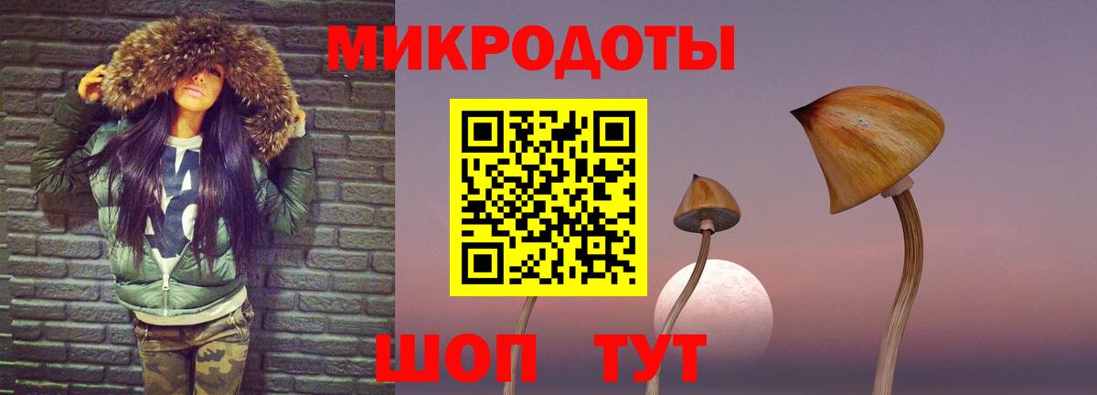 Заволжье  Галлюциногенные грибы Psilocybine cubensis  Вход с VPN  Псилоцибиновые грибы GOLDEN TEACHER 