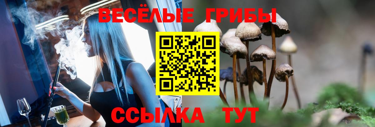 Псилоцибиновые грибы Magic Shrooms Заволжье